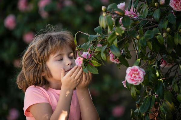 Como aromas naturais podem influenciar o sono dos pequenos?
